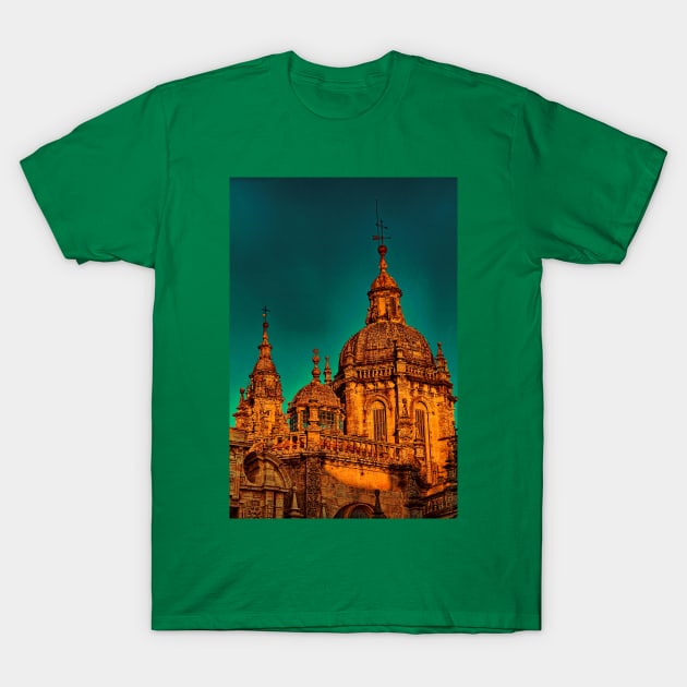 Spain. Santiago de Compostela. Cathedral. Another Detail. T-Shirt by vadim19